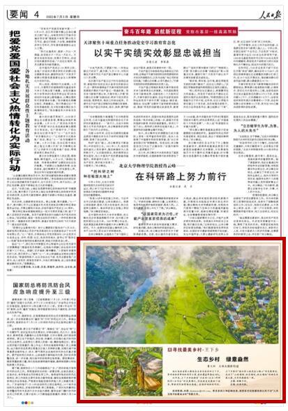 蜂王救援